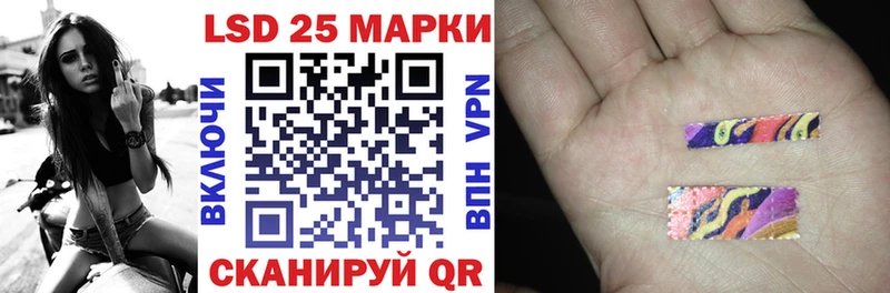 дарнет шоп  Чердынь  Марки NBOMe 1,8мг 