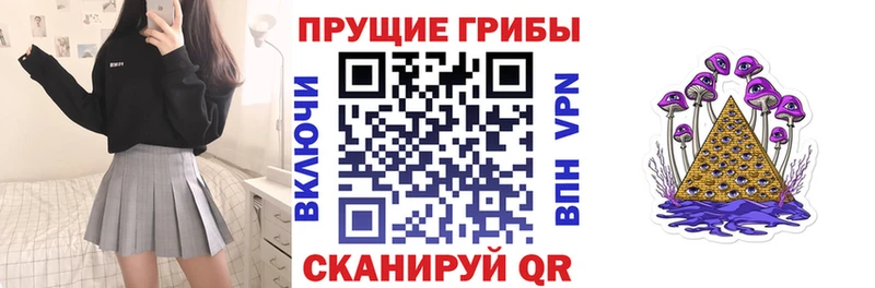 Псилоцибиновые грибы мицелий  Чердынь 